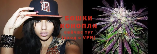 дживик Пересвет