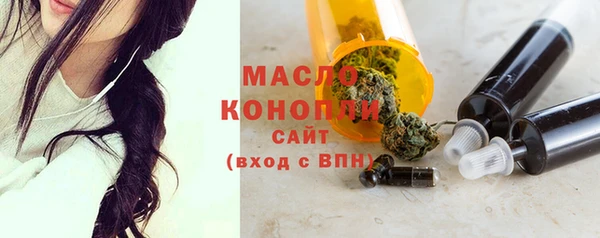 дживик Пересвет