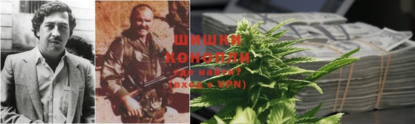 дживик Пересвет