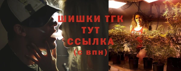 дживик Пересвет