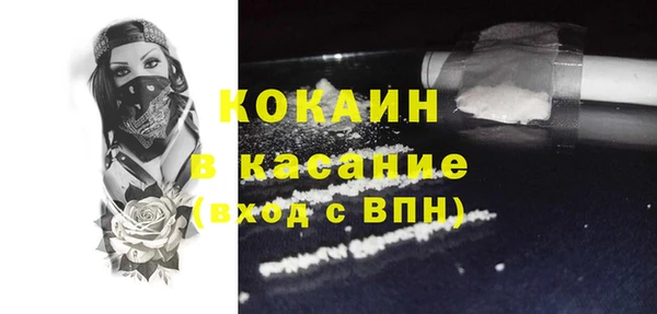 дживик Пересвет