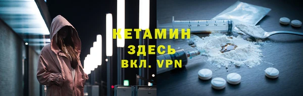 дживик Пересвет
