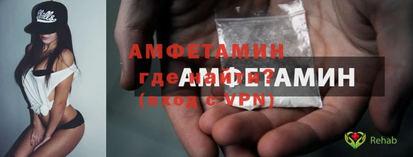 дживик Пересвет
