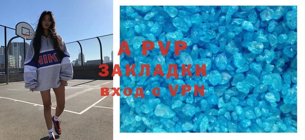 дживик Пересвет