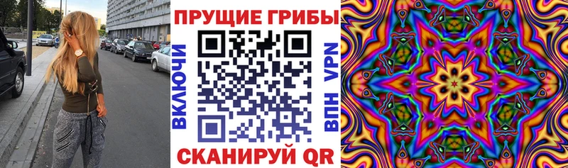 купить наркотики сайты  Бакал  Галлюциногенные грибы Cubensis 